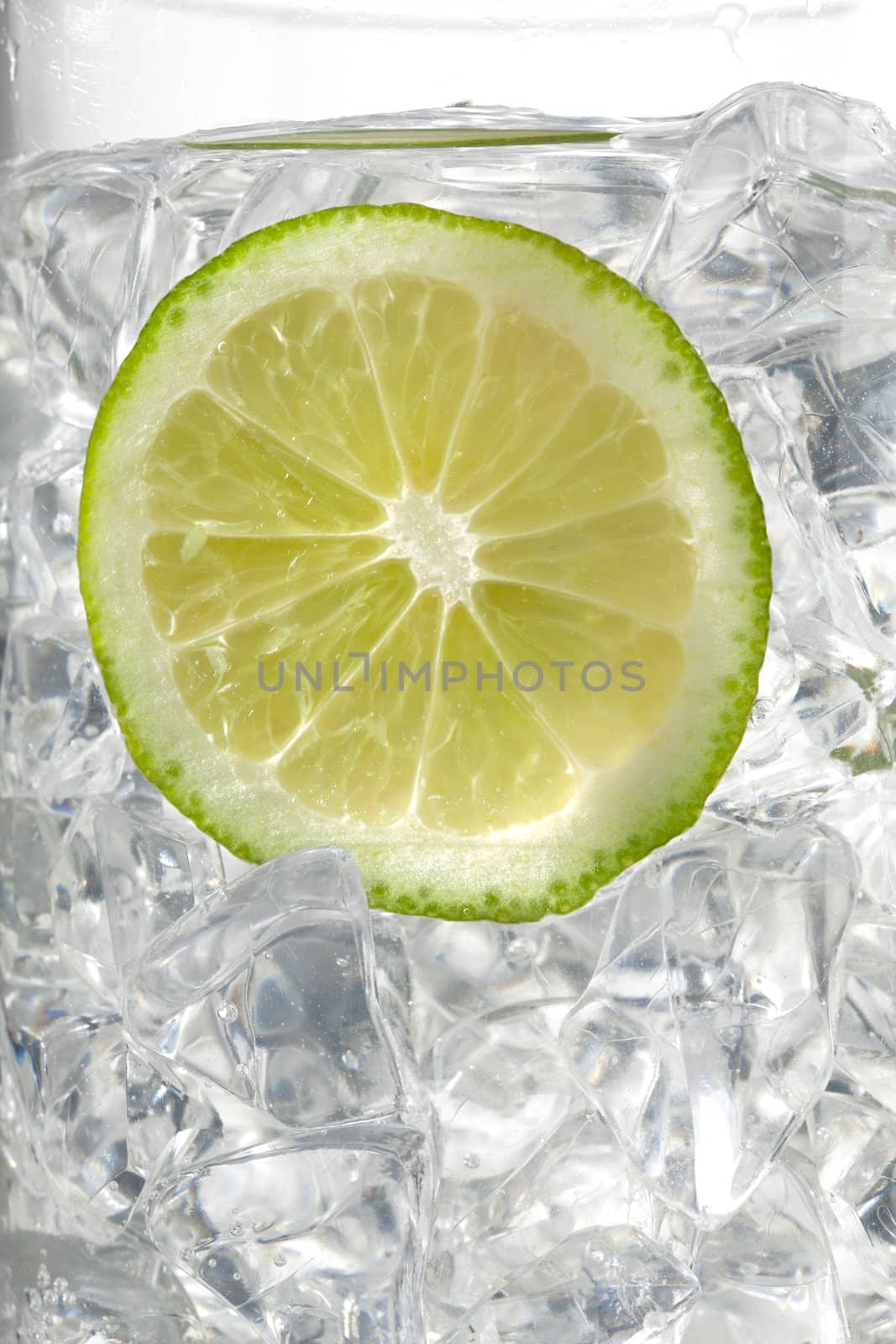 view of lemon slice in ice cubes by kozzi
