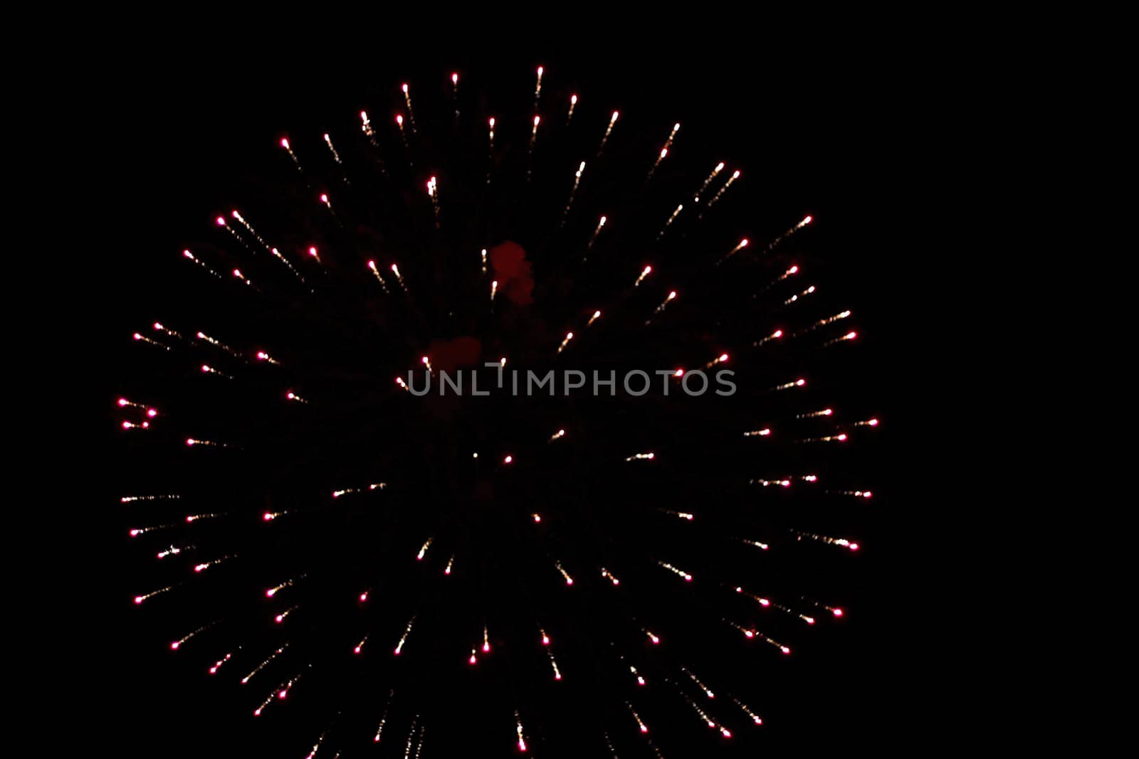 Celebration firework shinig in the black sky 