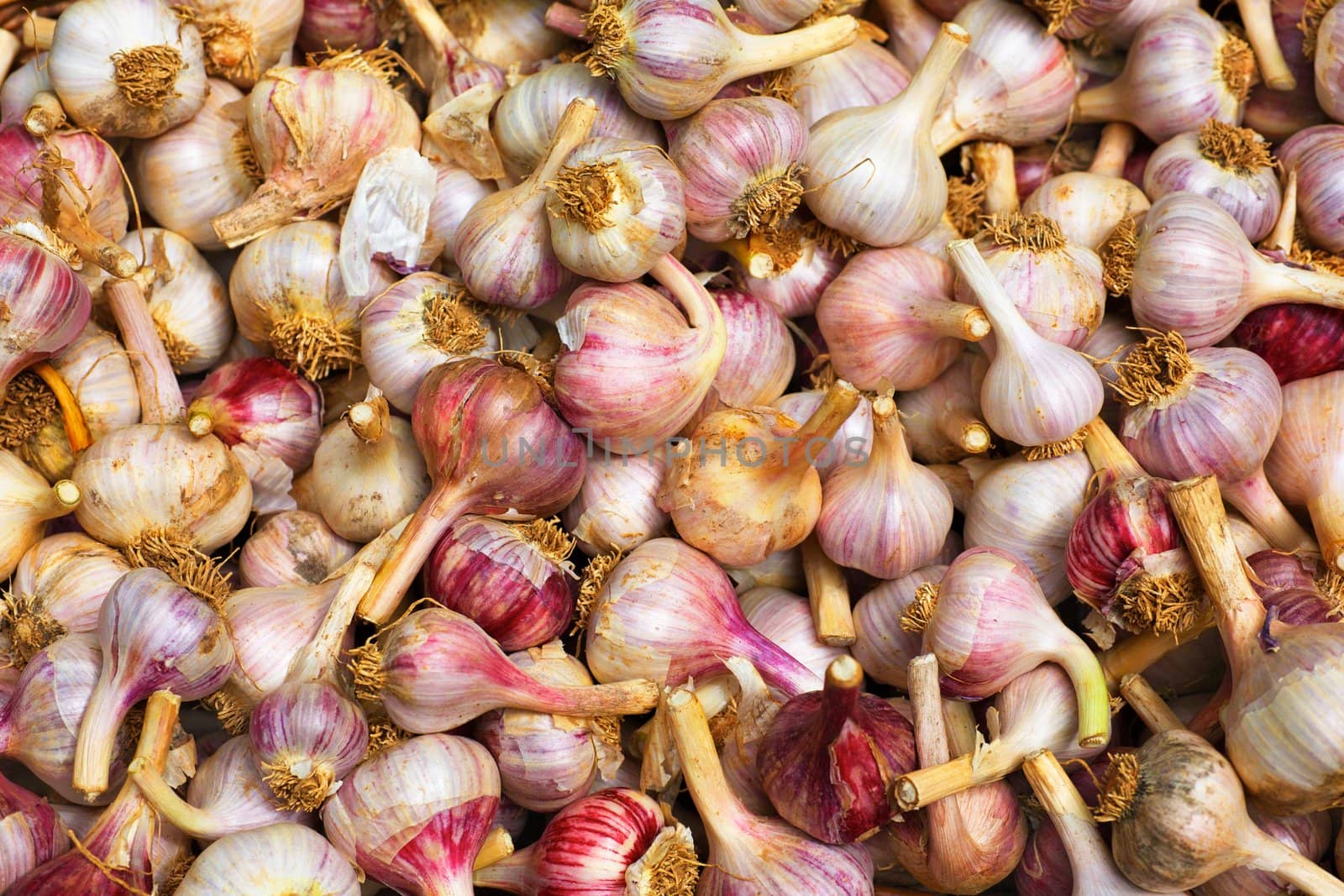Pile of garlic at the farmers market