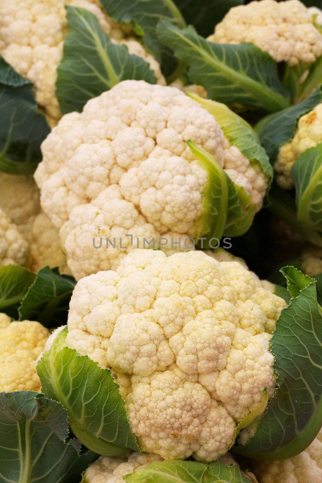 Pile of Cauliflower  by bobkeenan
