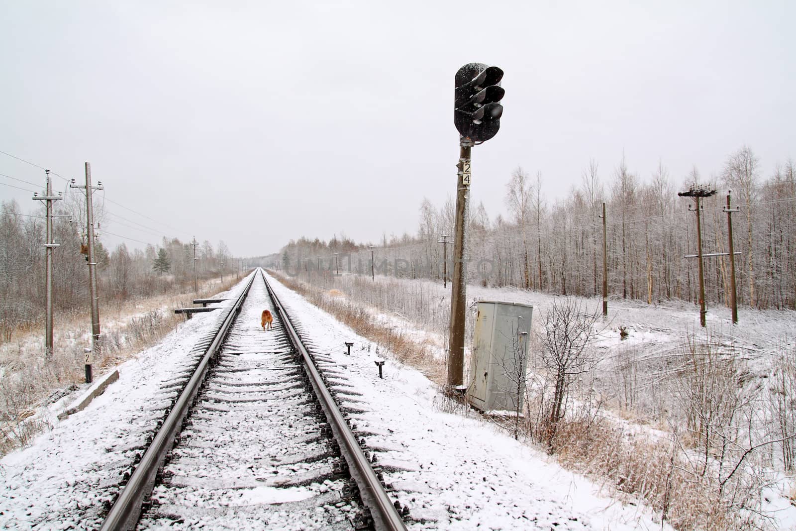 old semaphore on snow railway