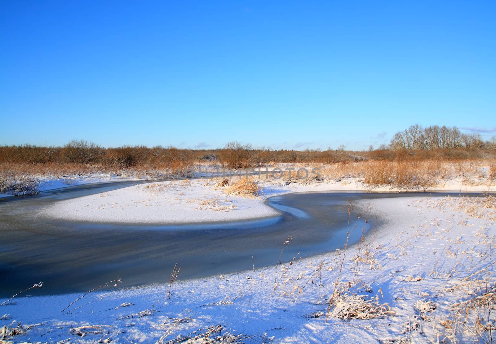 snow bushes on coast river