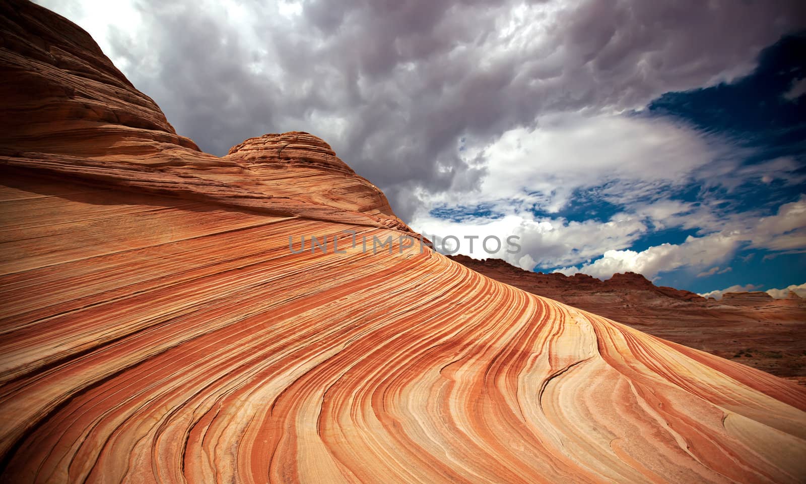 Arizona nature formation The Wave in North Coyote Buttes