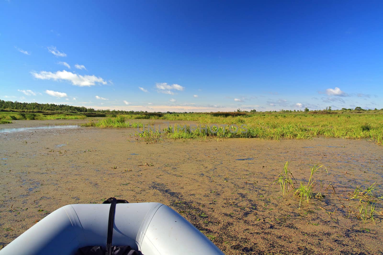 rubber boat on green marsh