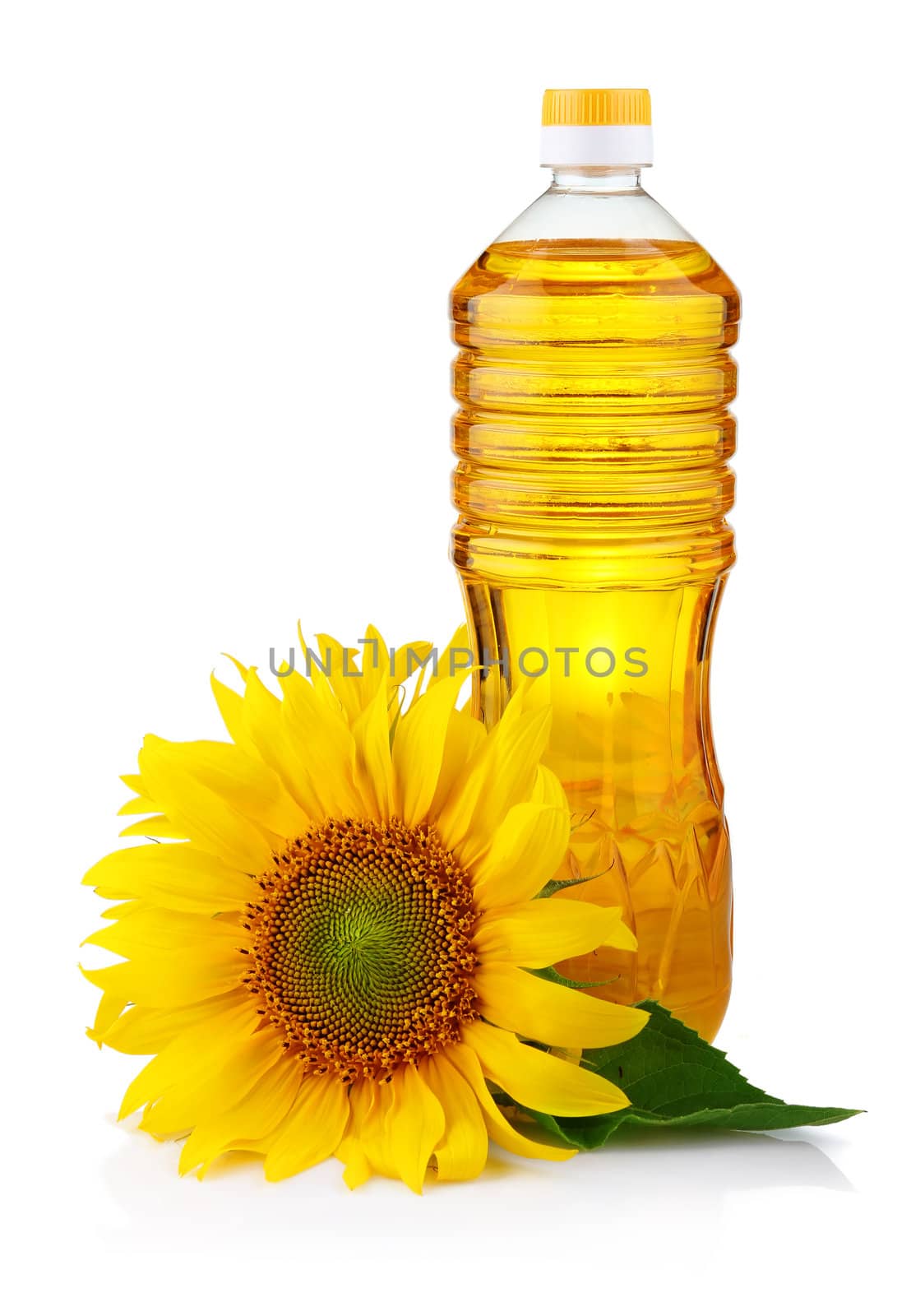 Bottle of sunflower oil with flower isolated on white background