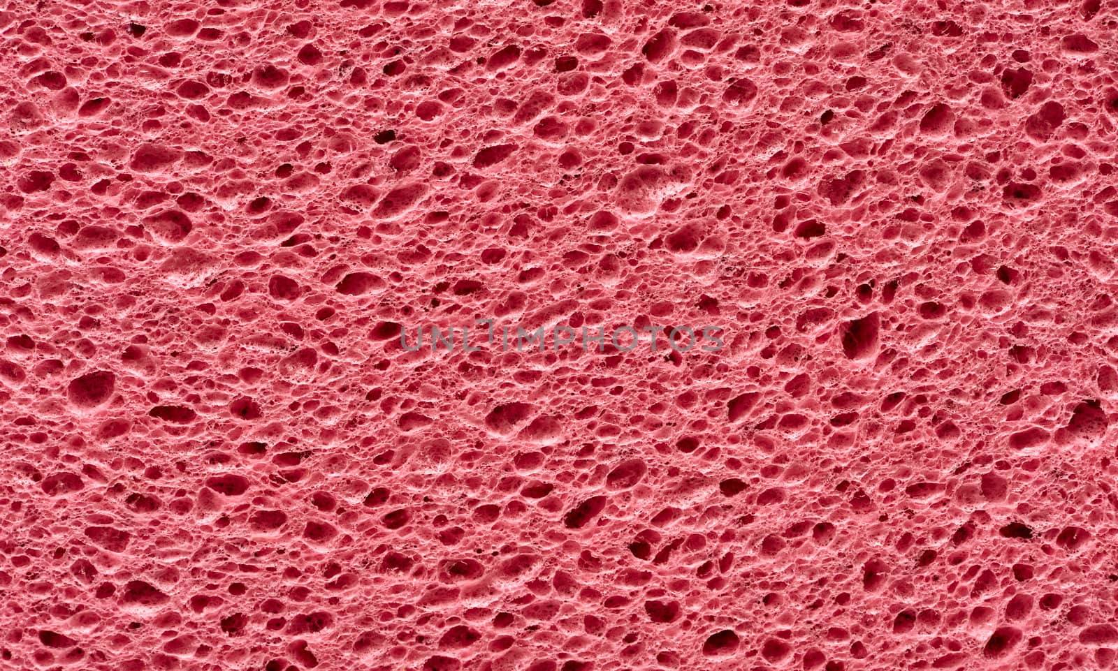 pink sponge with porous texture background