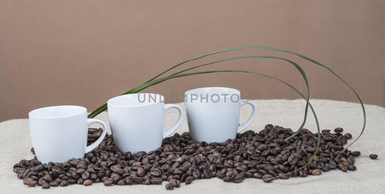 Still life about coffee with cups and beans