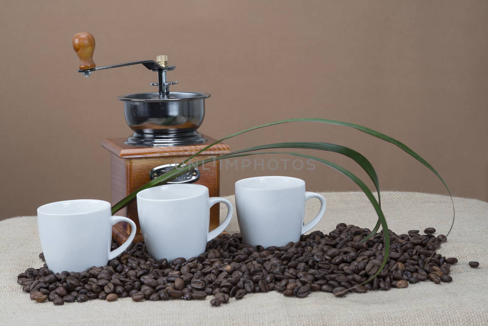 Still life about coffee with cups and beans