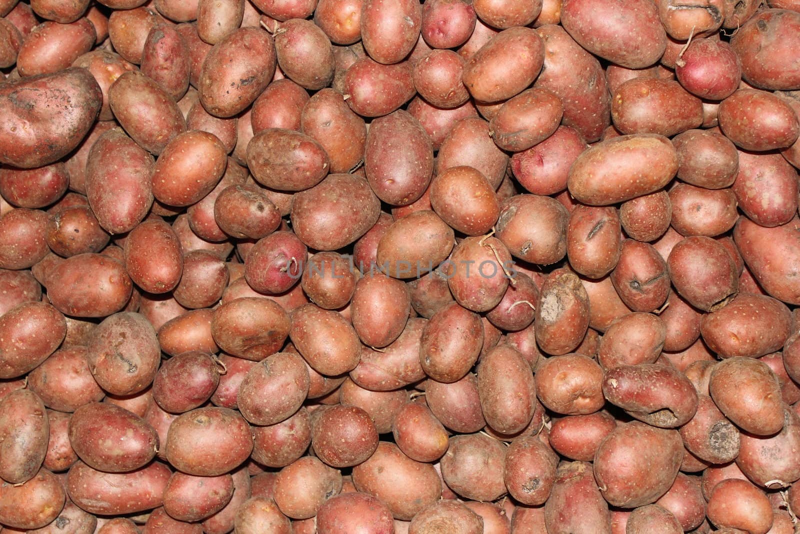 bunch of red potatoes forming an interesting texture