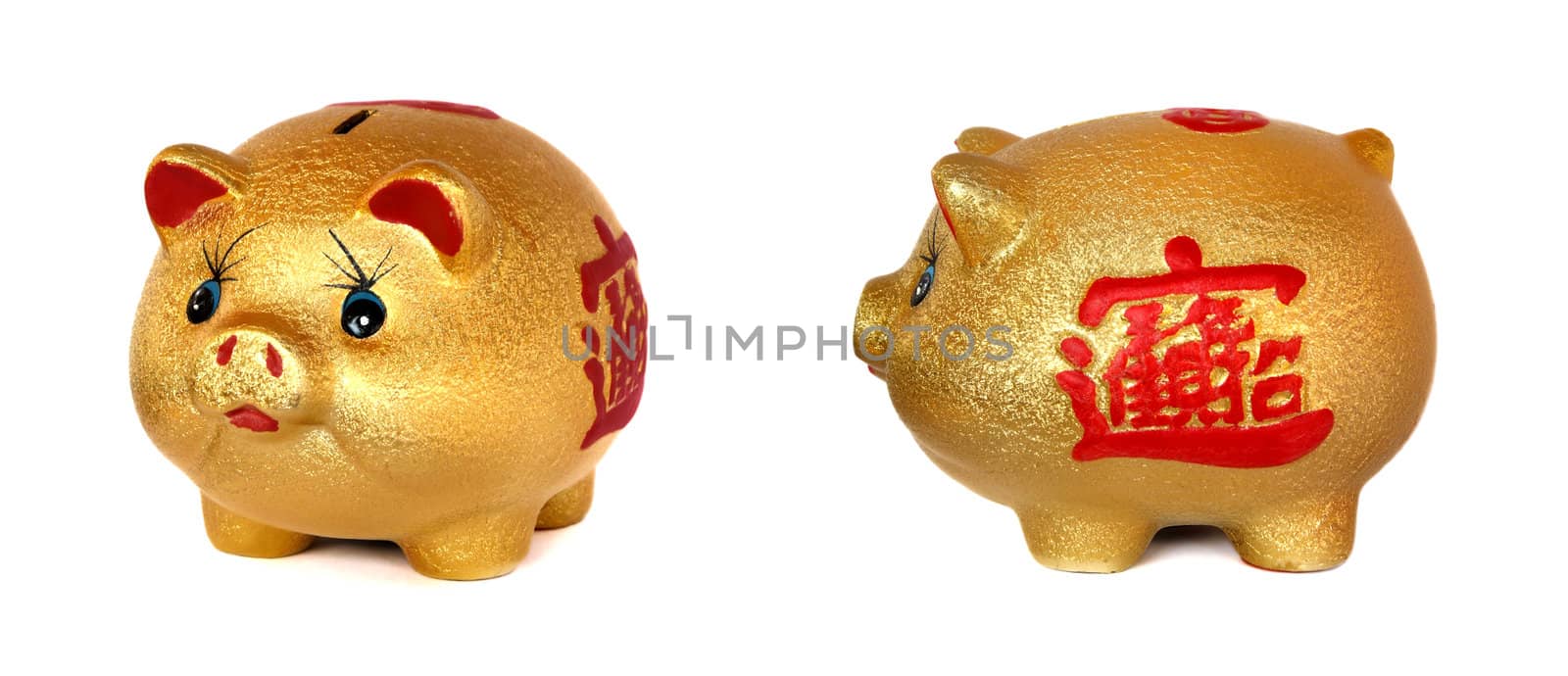 The Golden Pig piggy bank on white background. by opasstudio