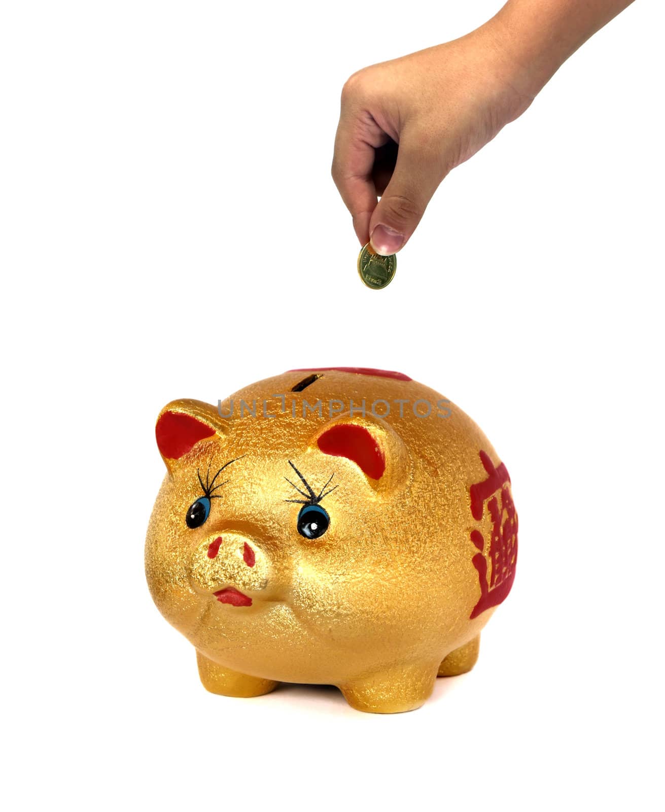 The Golden Pig piggy bank on white background.