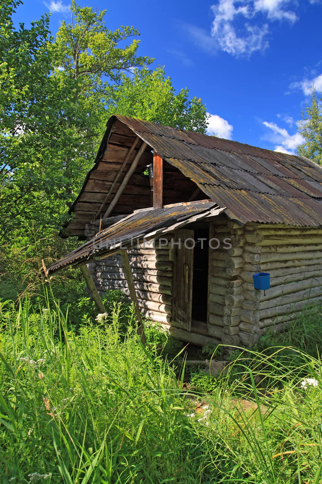 hunter's hut in a green forest