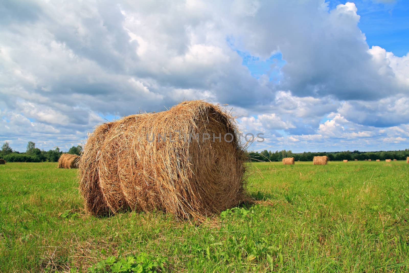 stack hay on summer field