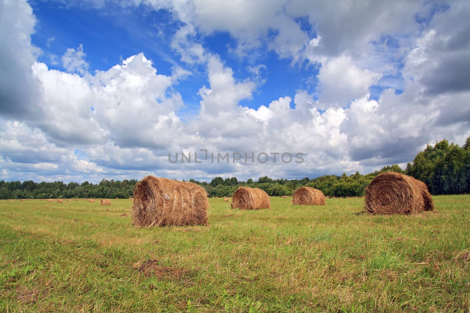 stack hay on summer field