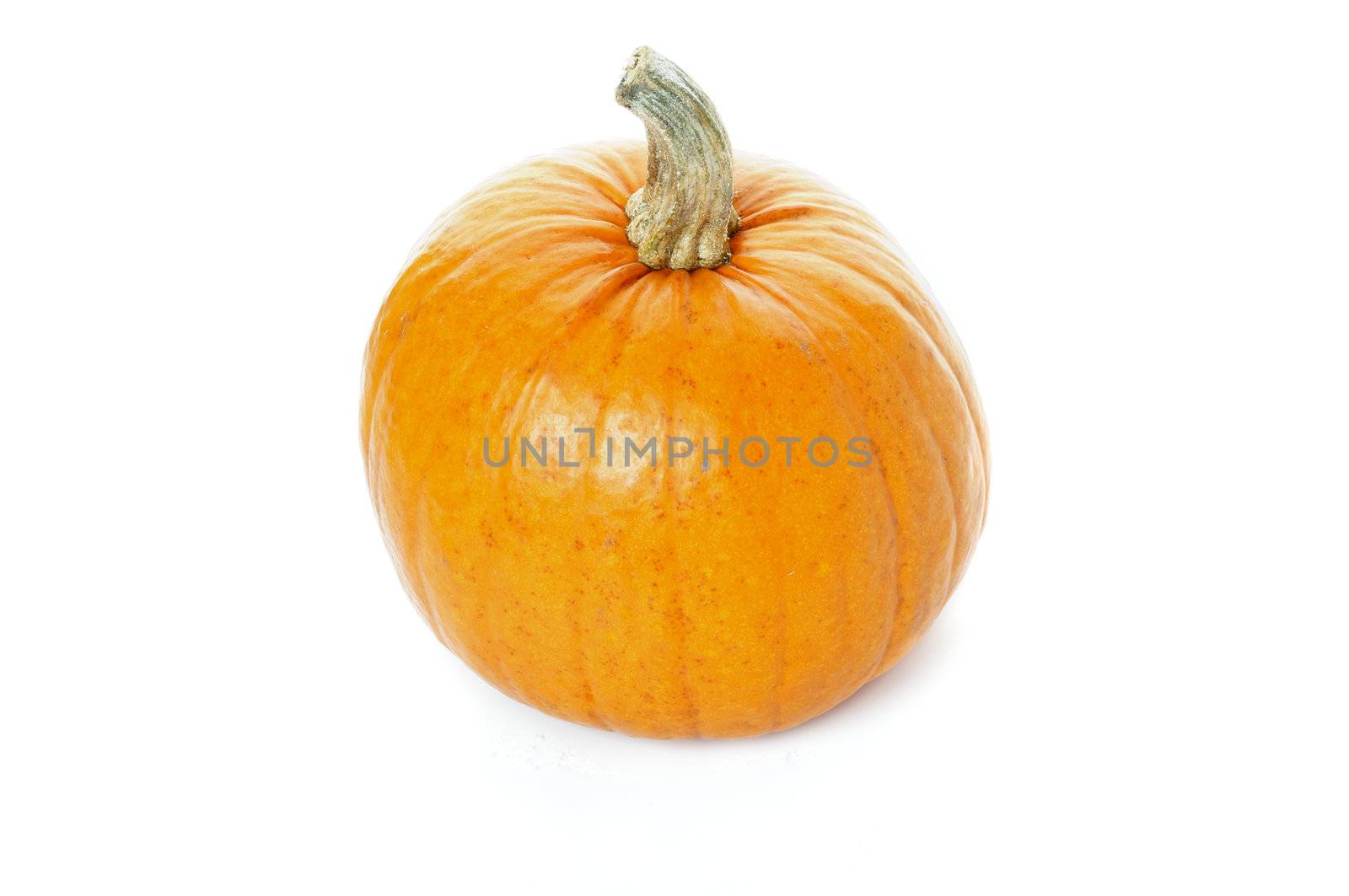 Ripe Pumpkin by zhekos