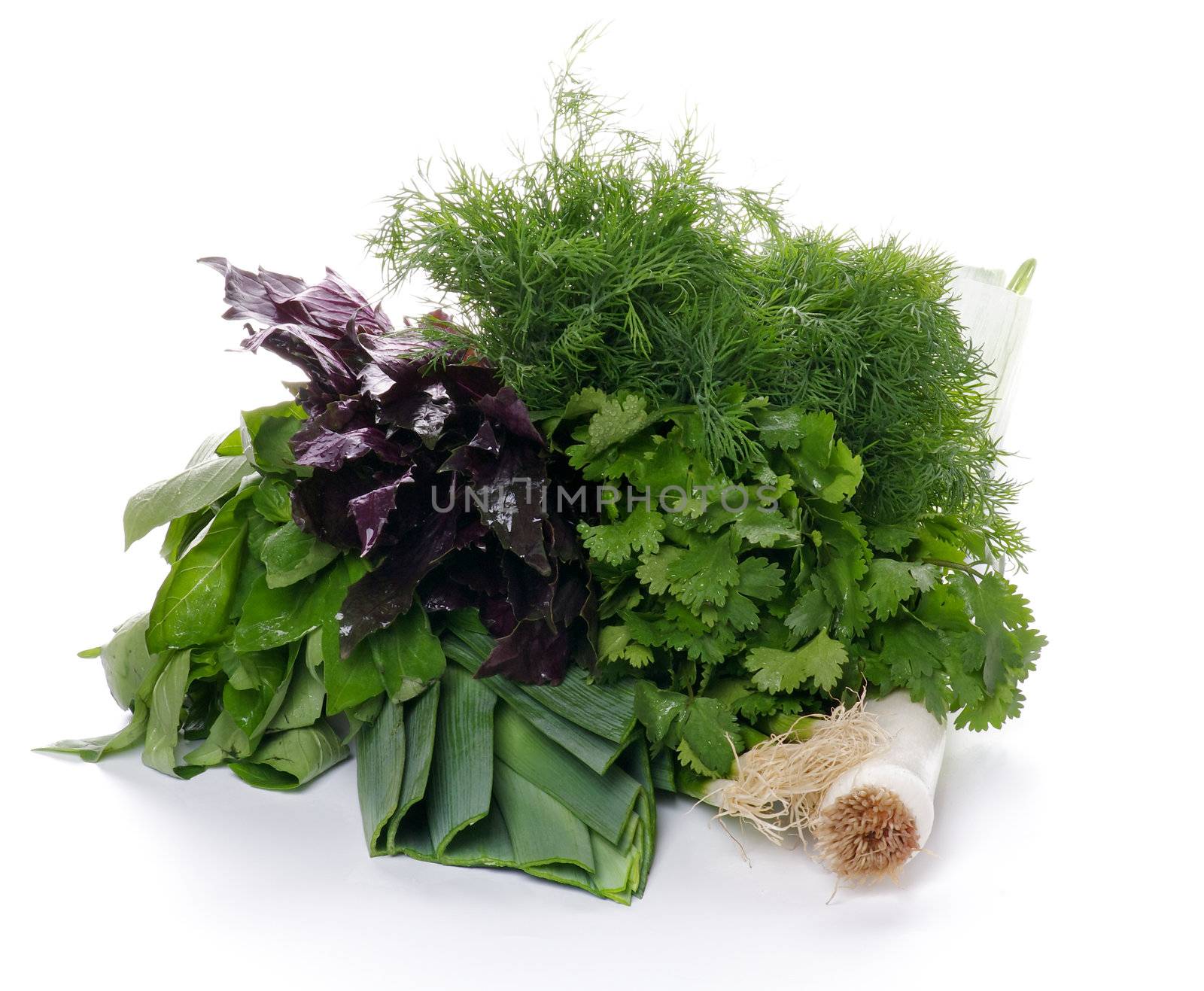 Heap of Fresh Onion, Leek, Parsley, Dill and Basil isolated on white background