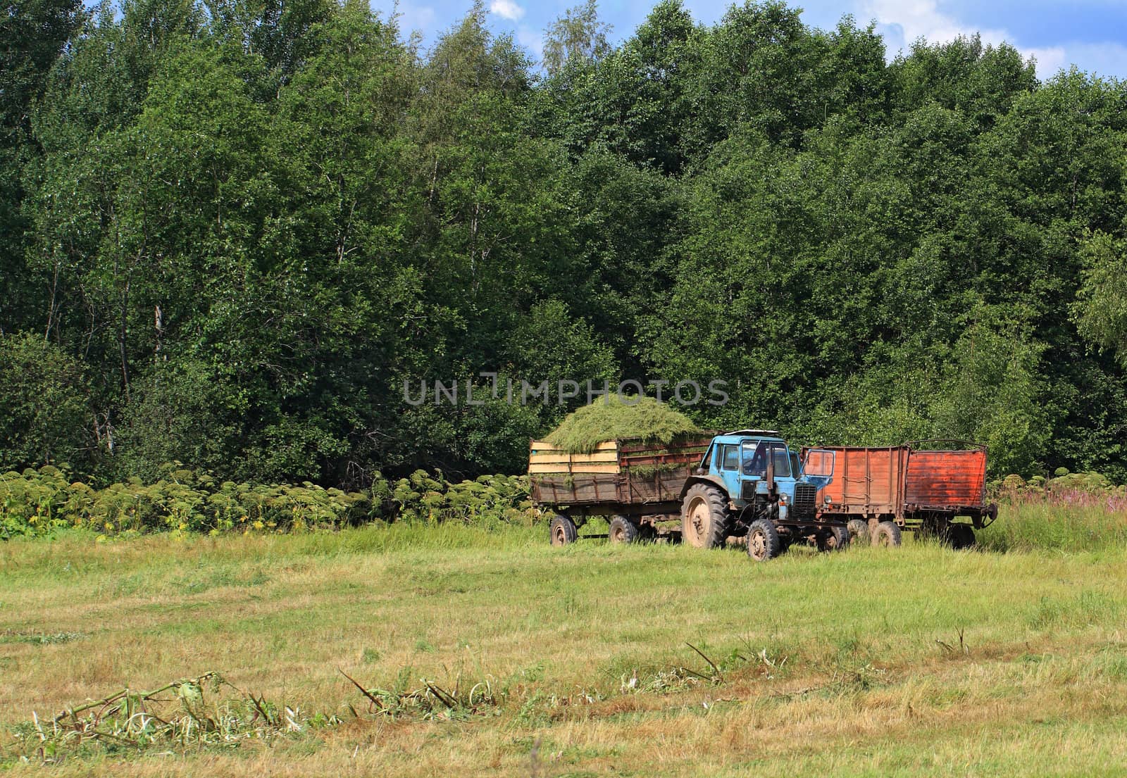 old tractor on summer field