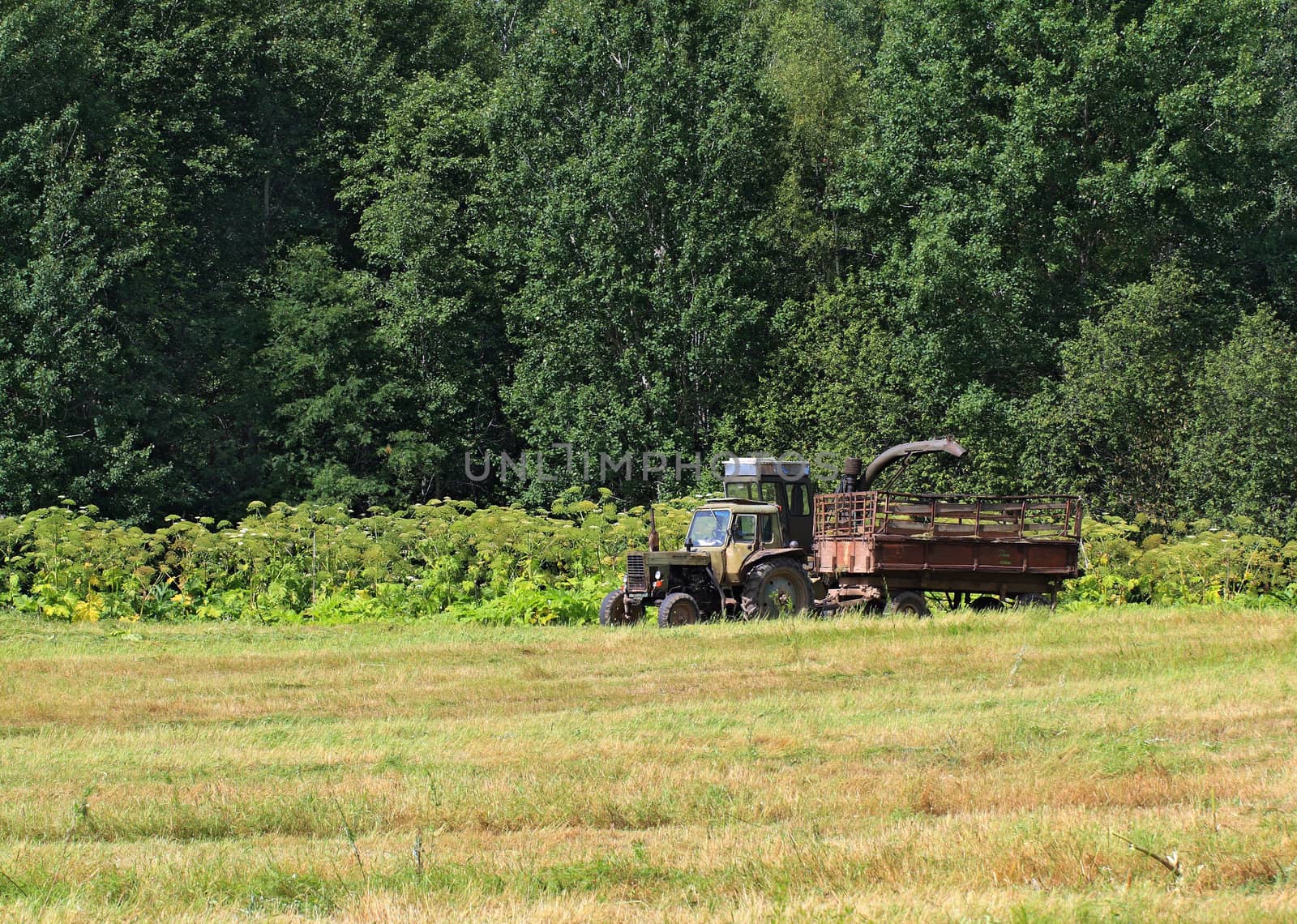 old tractor on summer field