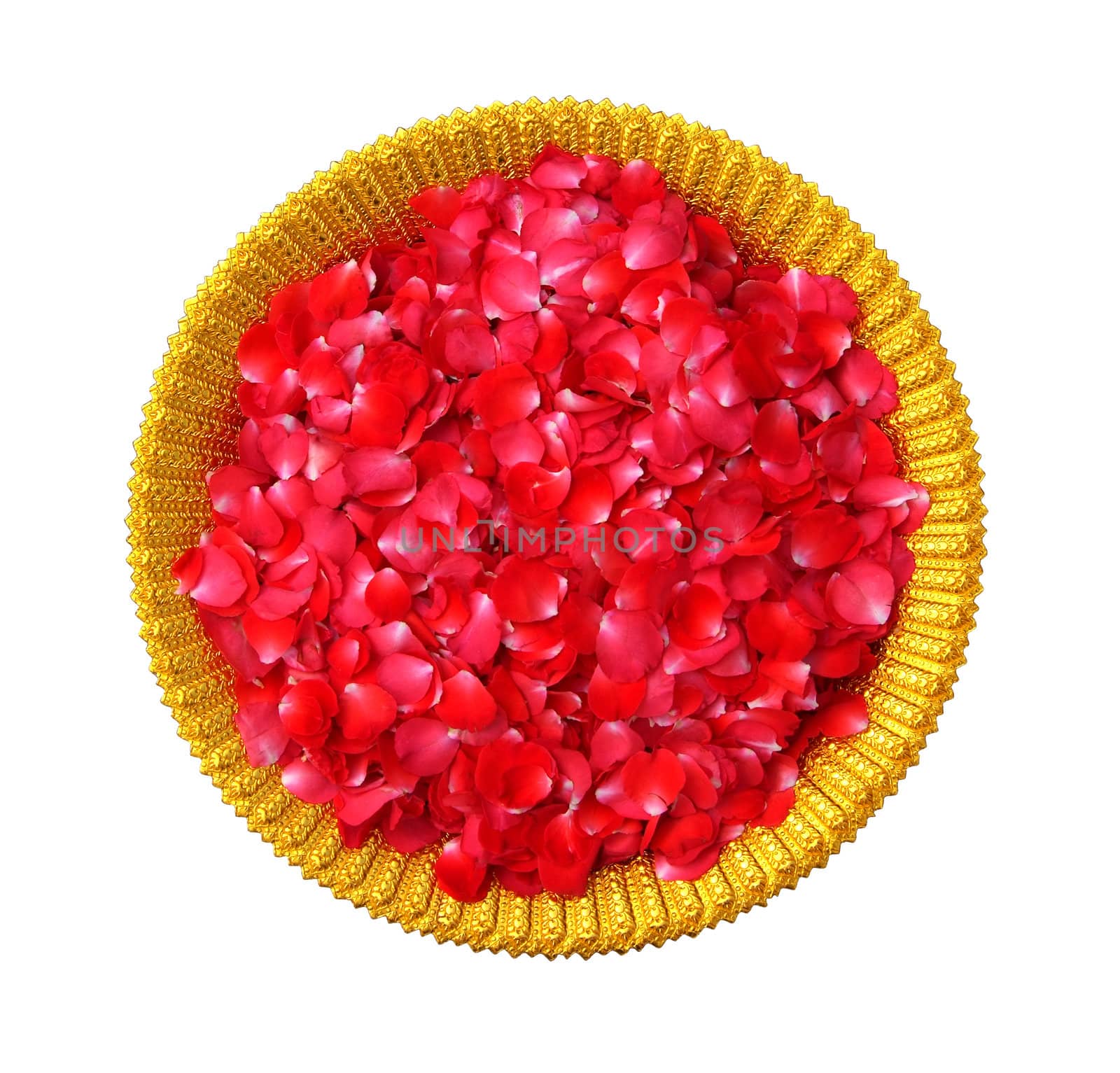 Red rose petals in Golden Bowl on white background