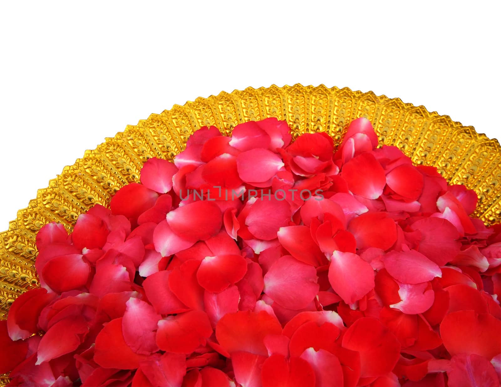 Red rose petals in Golden Bowl on white background