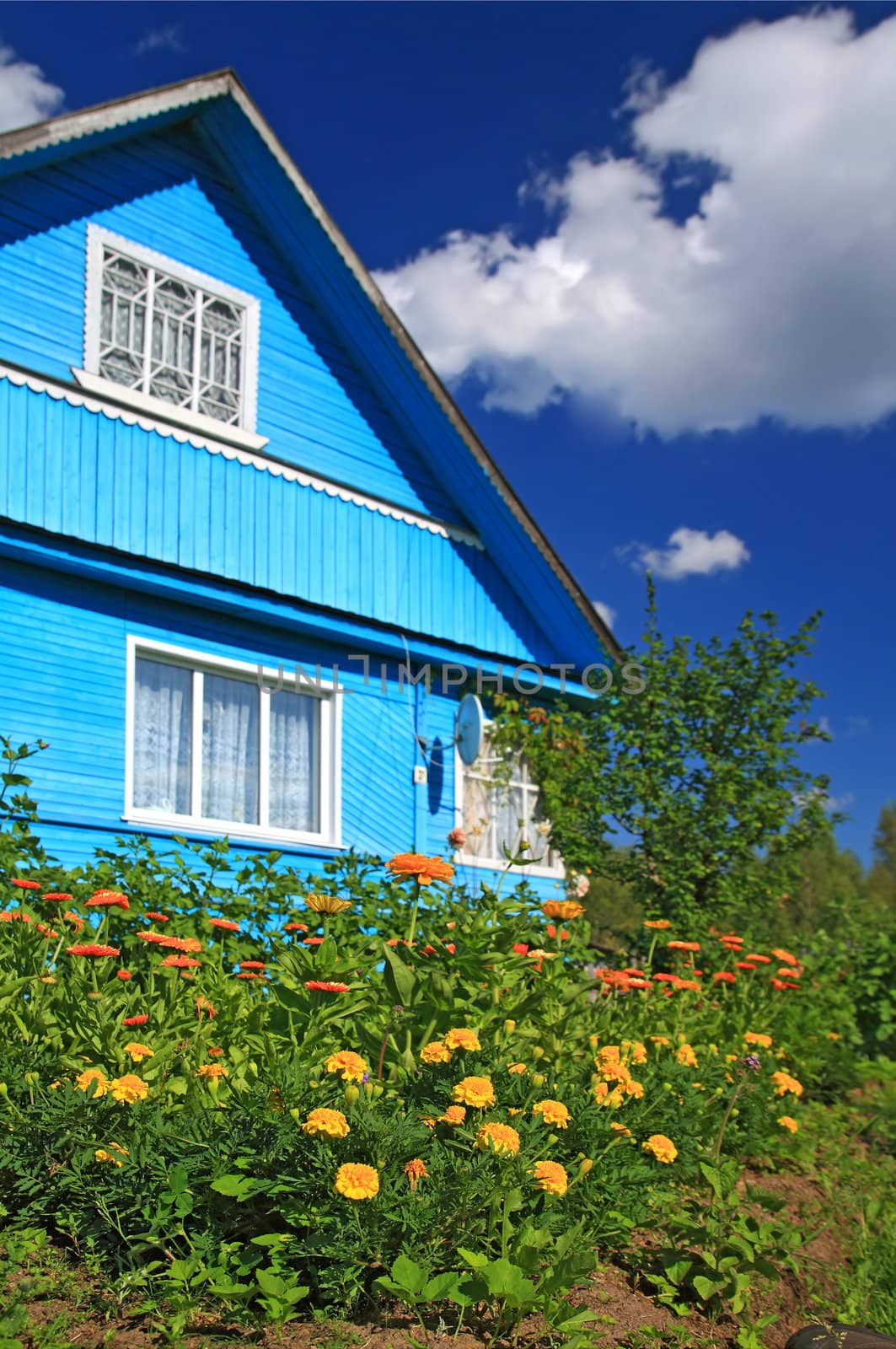 summer flowerses near rural building by basel101658