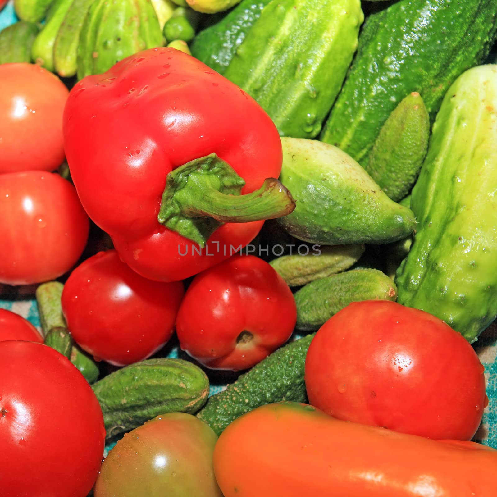 red pepper amongst cucumber and tomato by basel101658