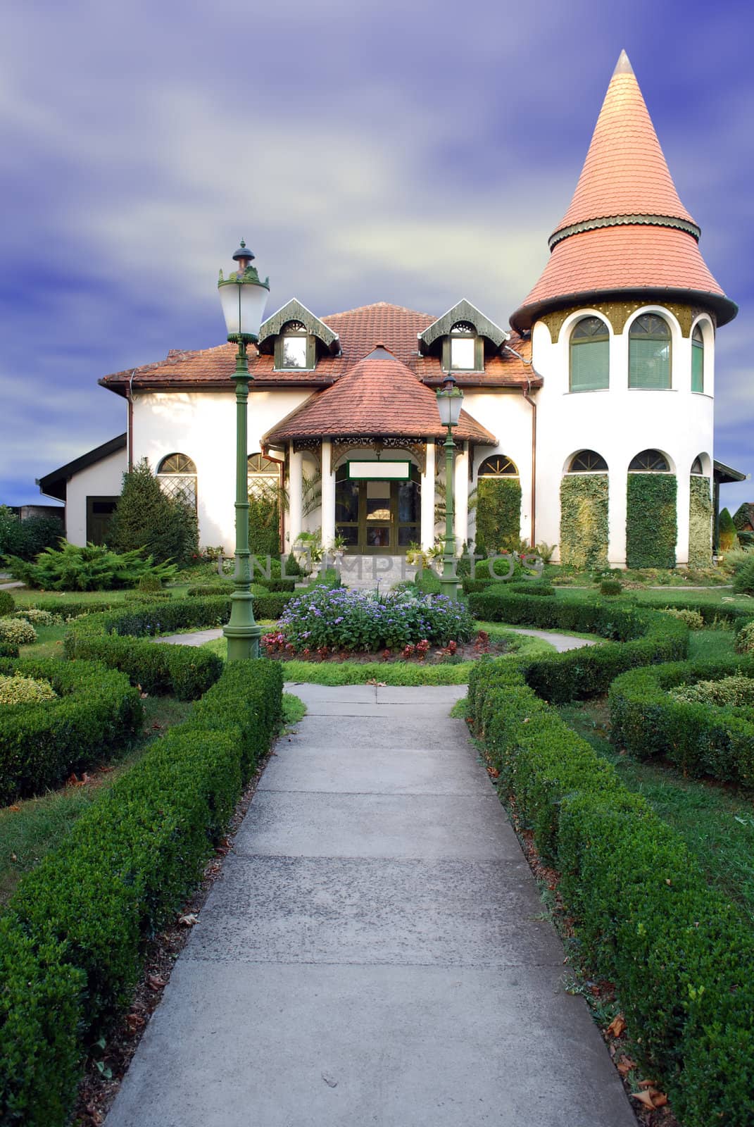 Luxury house with decorative yard