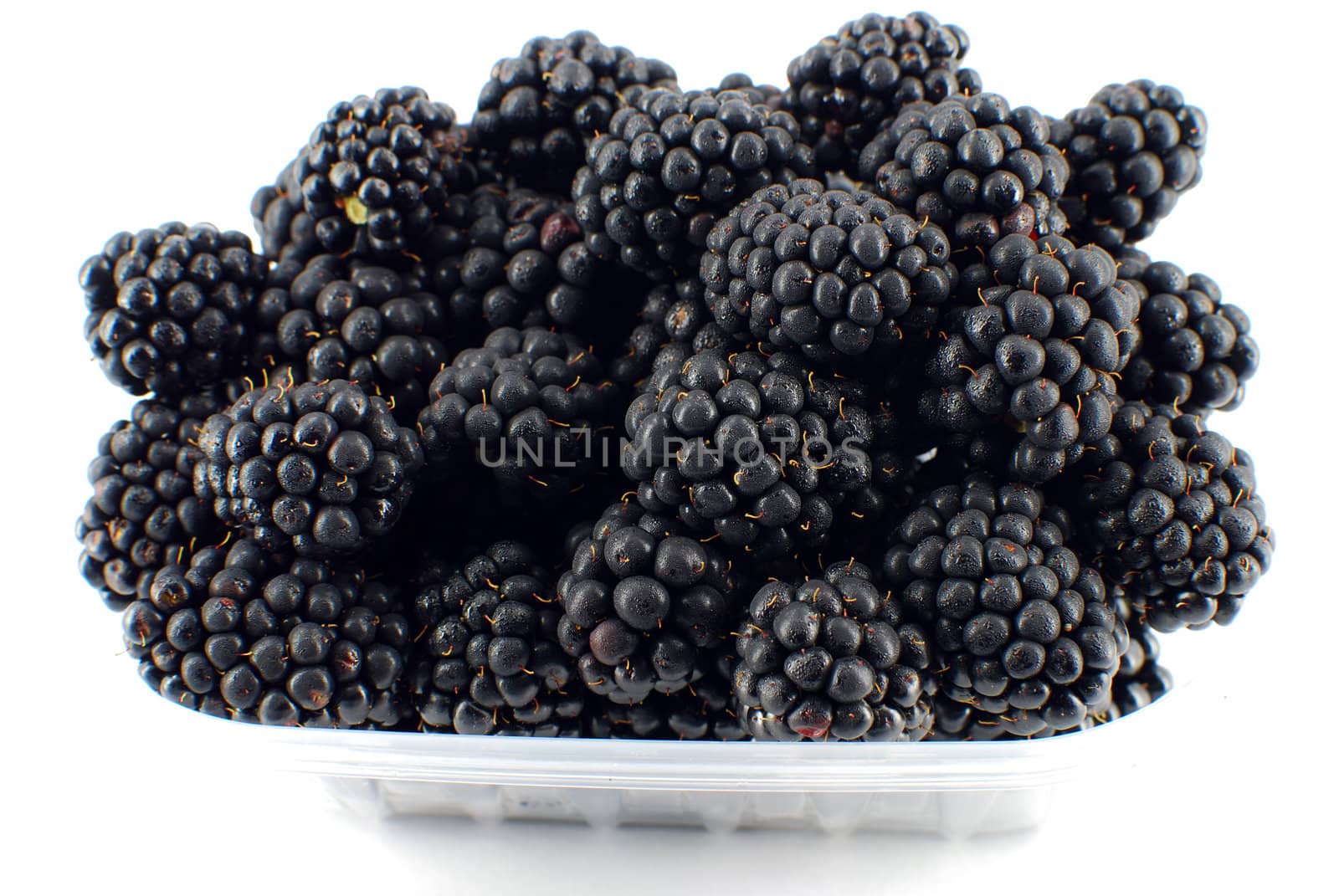 Fresh ripe blackberry on white
