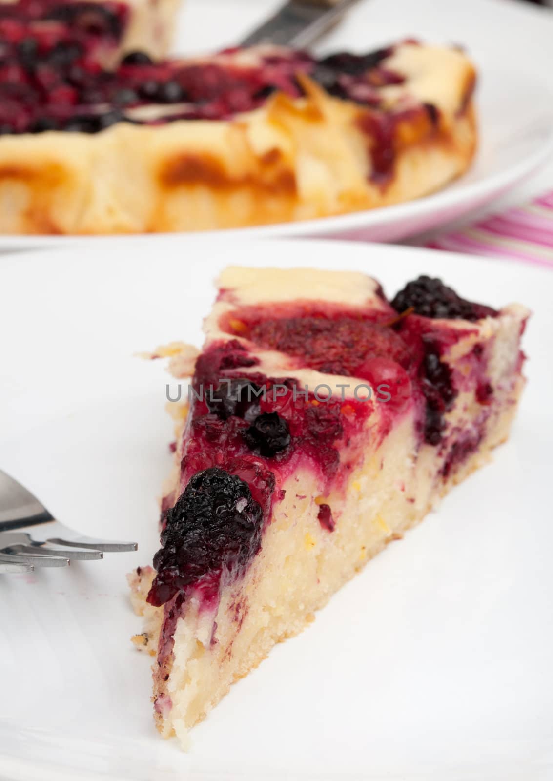 Homemade Cake With Forest Fruit - Shallow Depth of Field