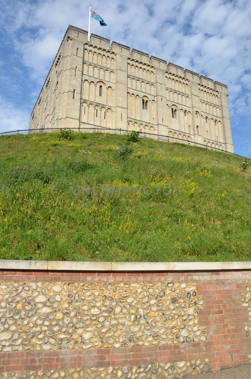 Norwich Castle from Road