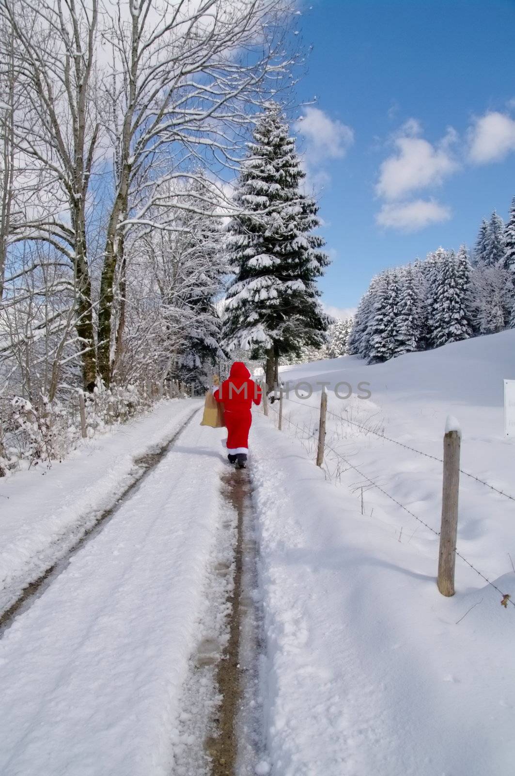 Santa Claus, Father Christmas in a beautiful winter landscape