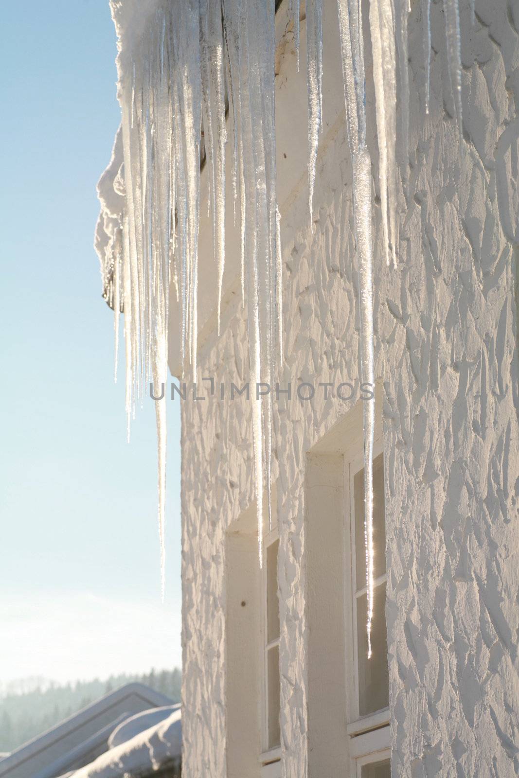 close-up of ice, very shallow Depth of field