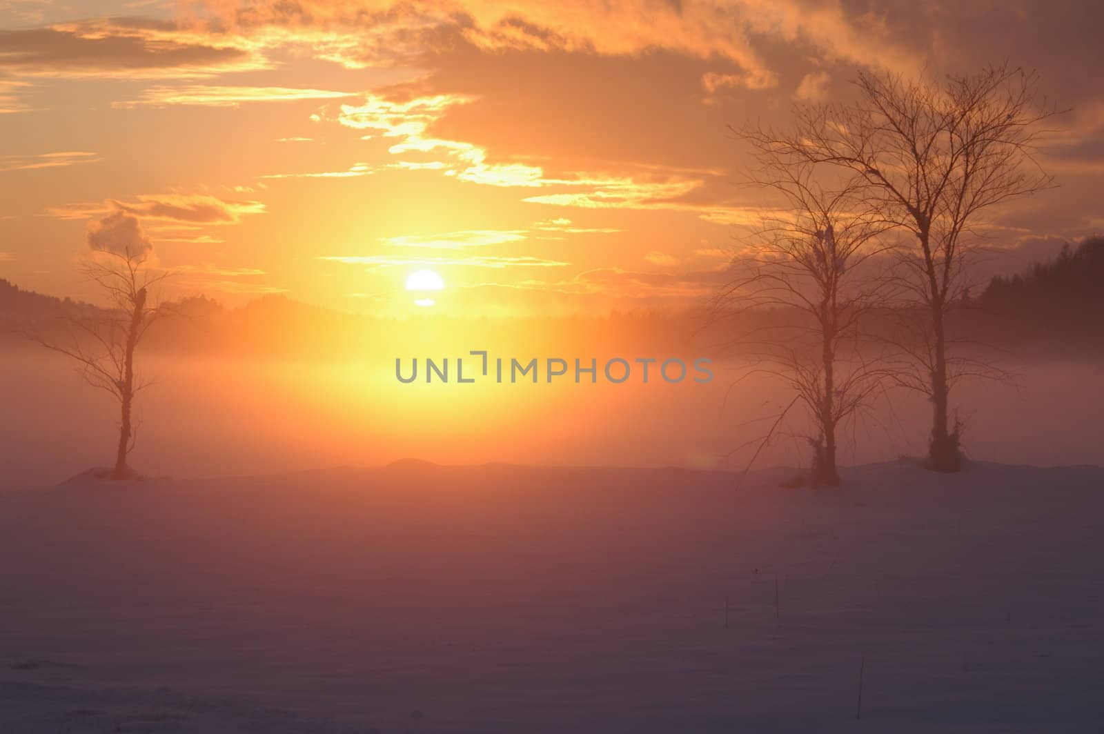 a romantic misty winter golden orange sunset