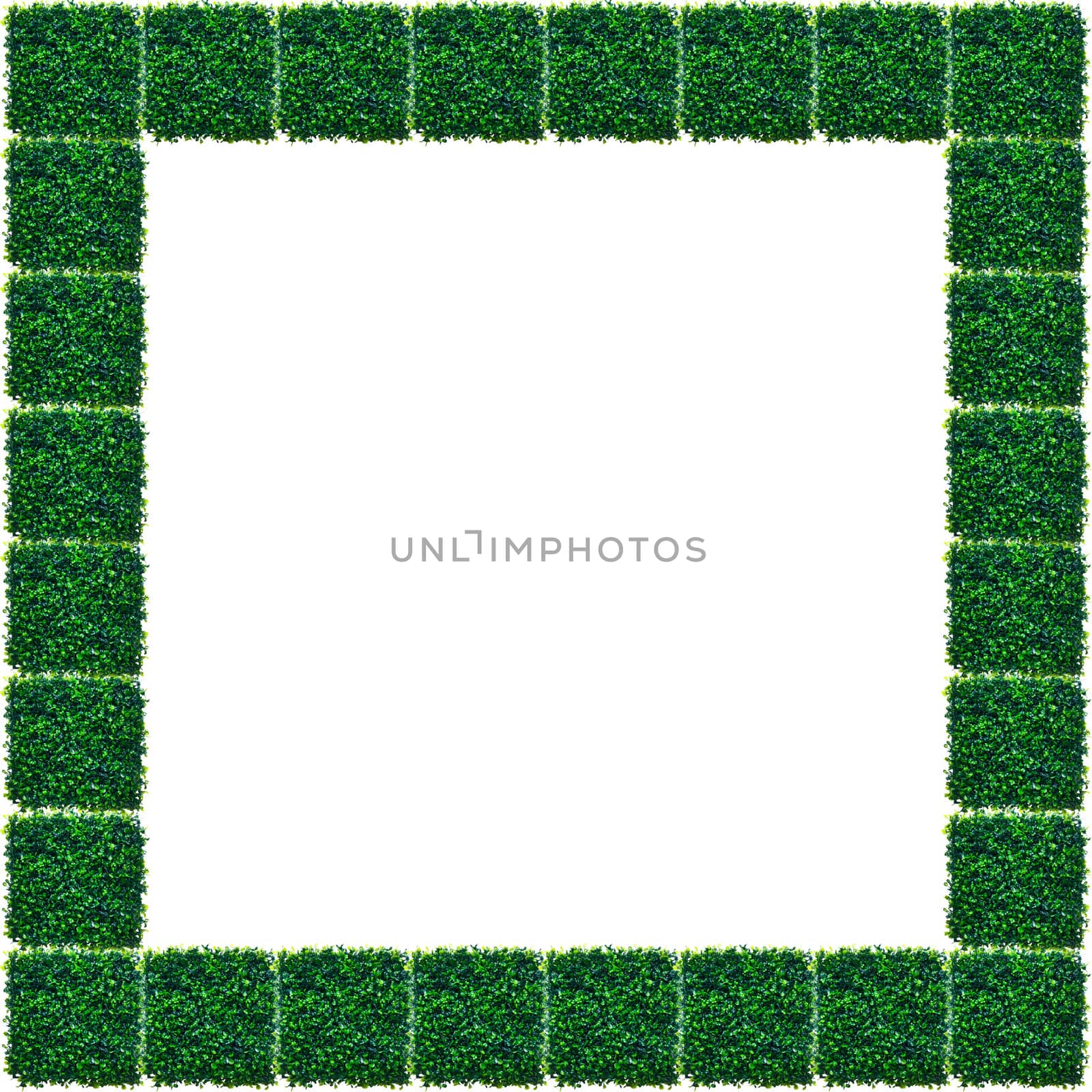 Isolated Artificial Grass Photo Frame.