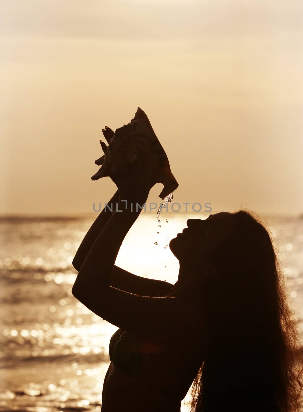 Silhouette of the beautiful girl with a cockleshell
