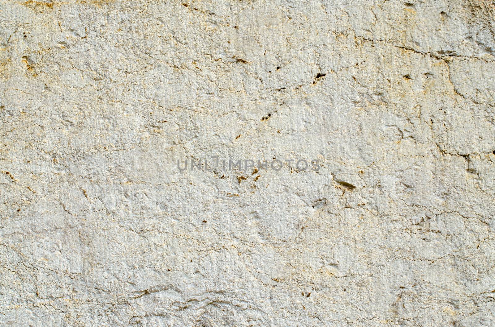 Limestone by homydesign