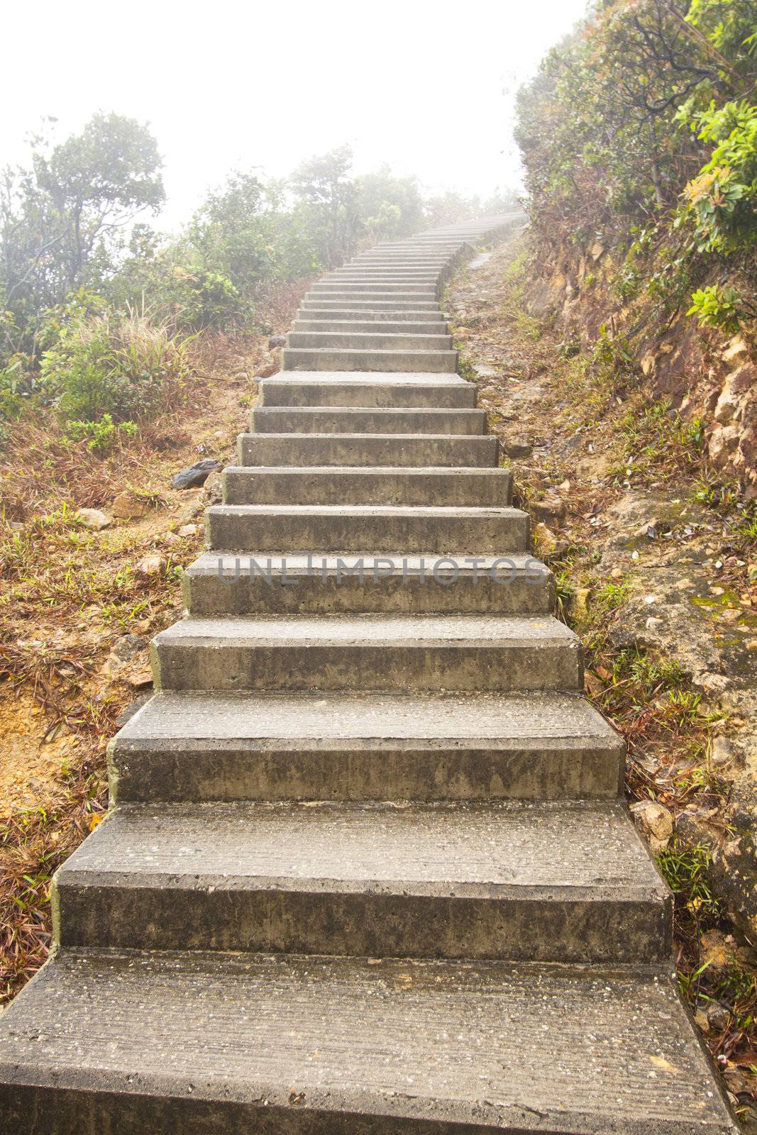 Stairs in hiking trail in Hong Kong