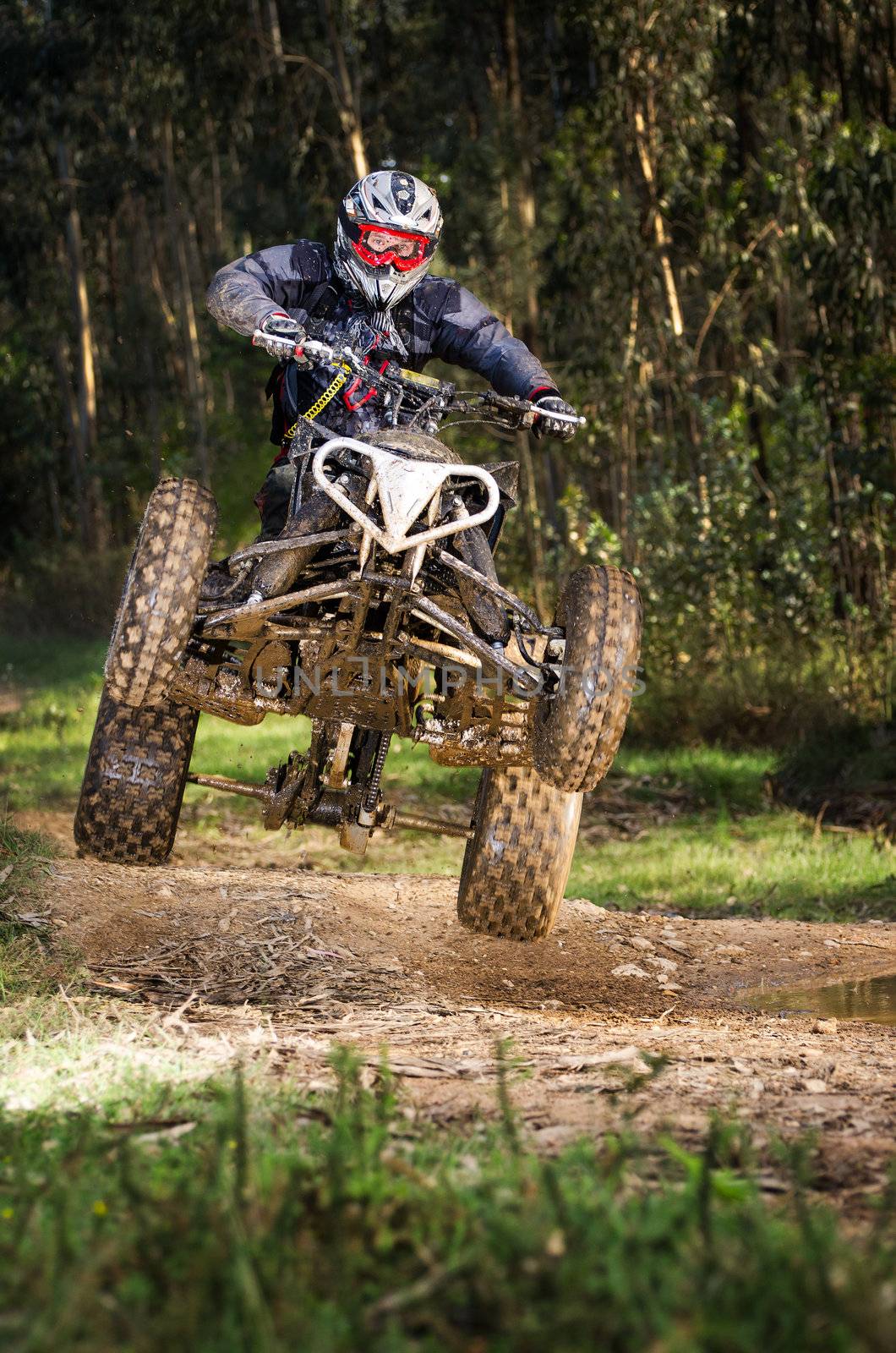 Quad rider jumping on a forest trail.