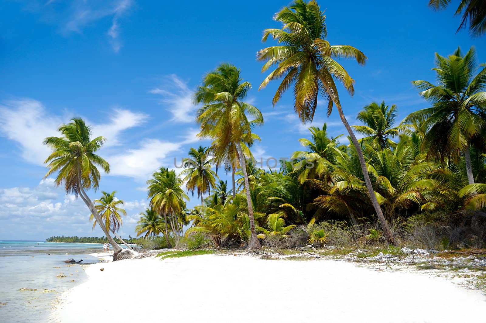 Paradise beach at Saona Island, Dominican Republic