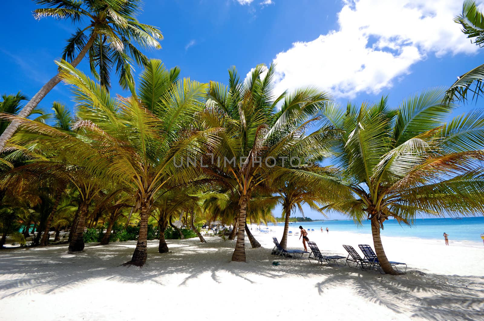 Paradise beach at Saona Island, Dominican Republic