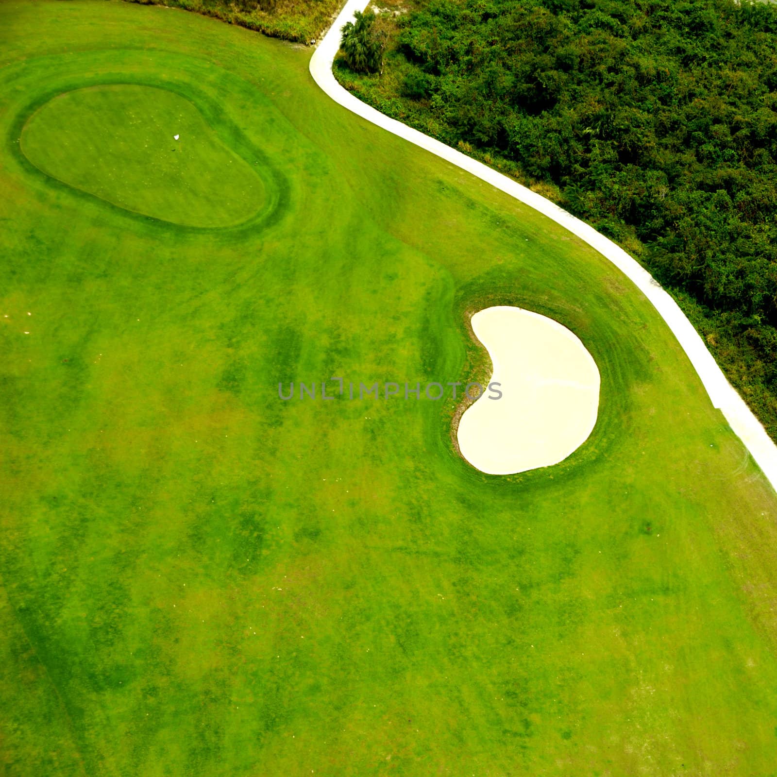 Golf course from above by cfoto