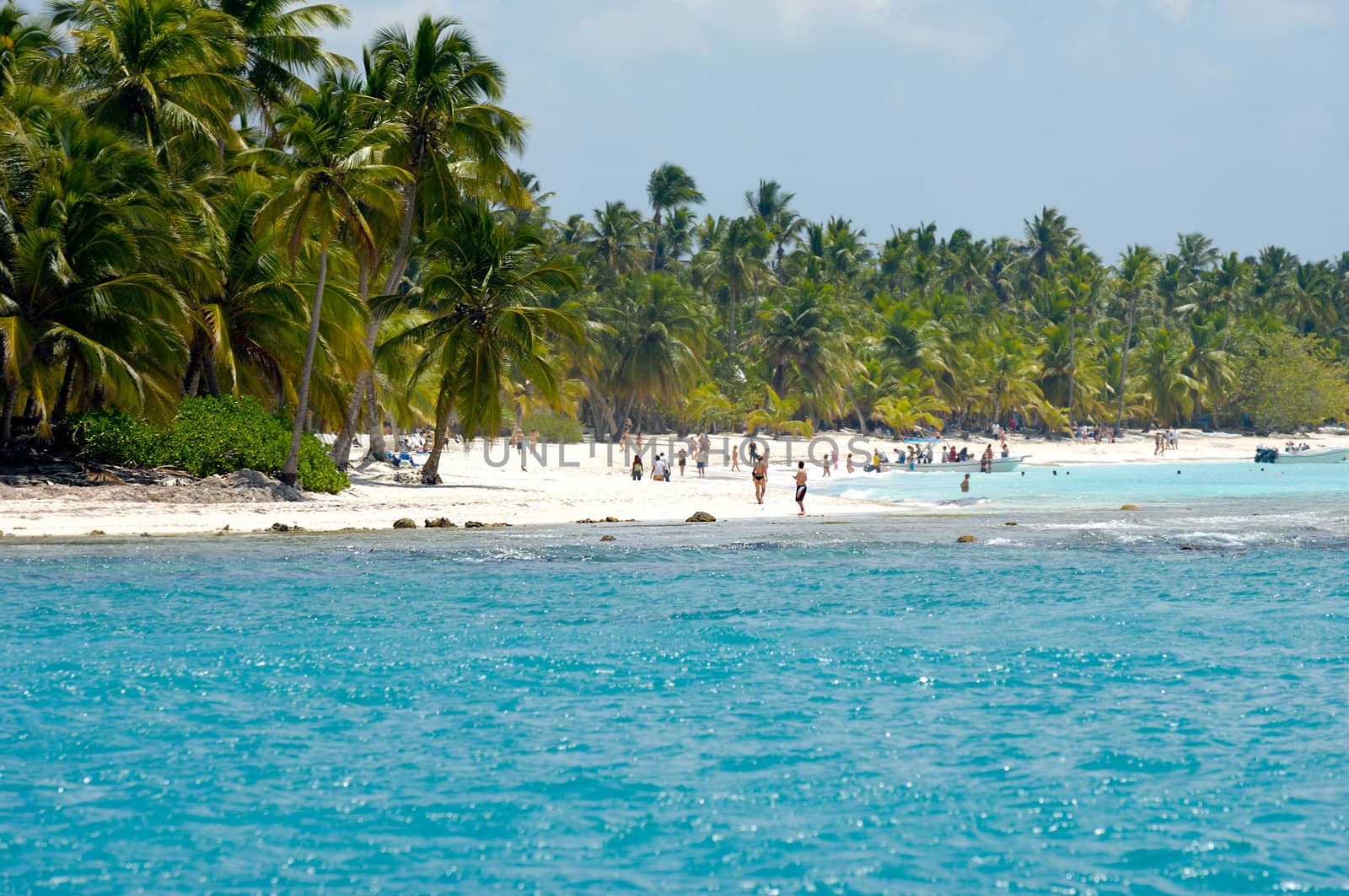 Caribbean island with a nice beach and green palms. The picture of the beach is taken from a boat on sea.