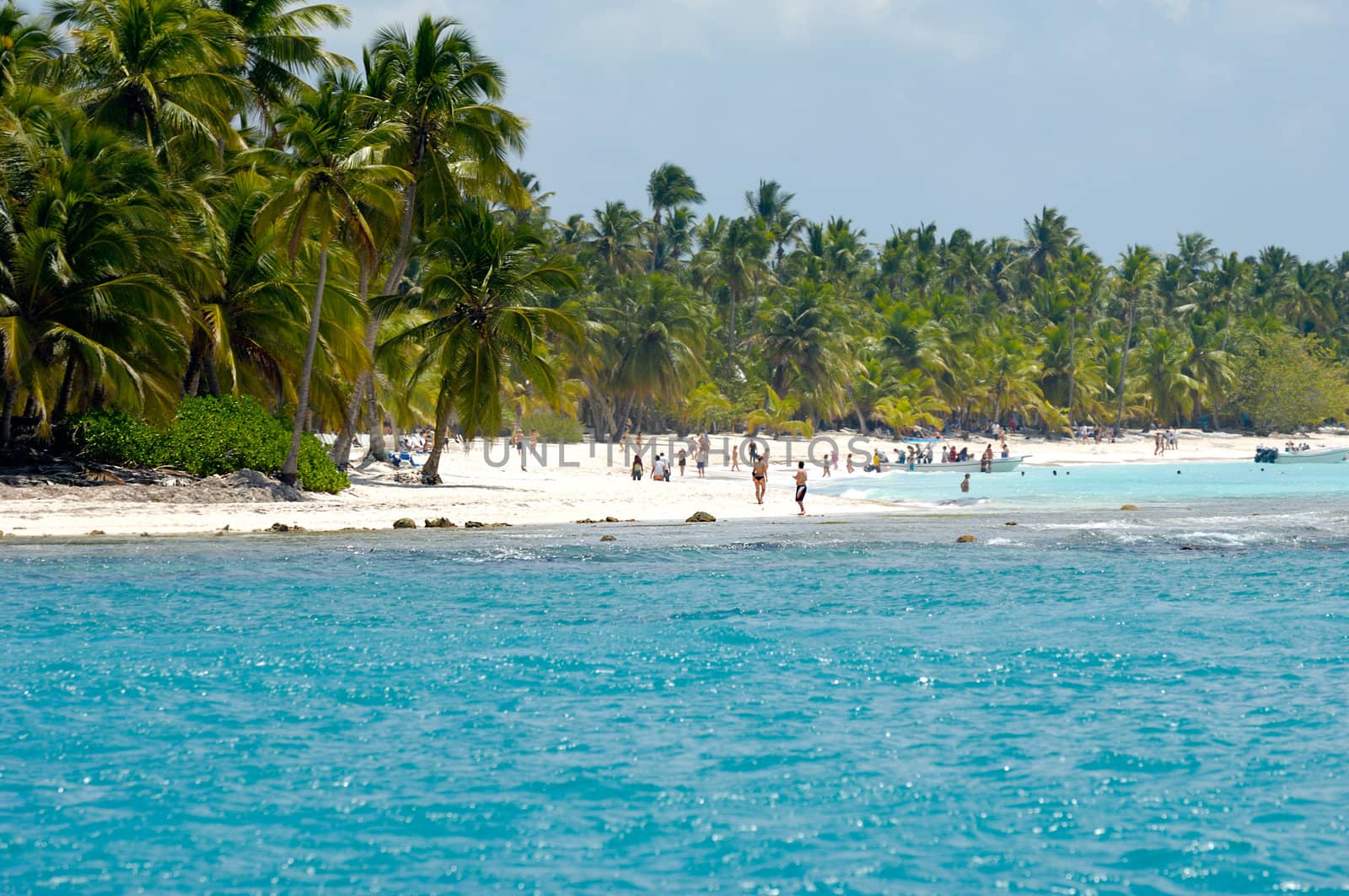 Island with beautiful beach by cfoto