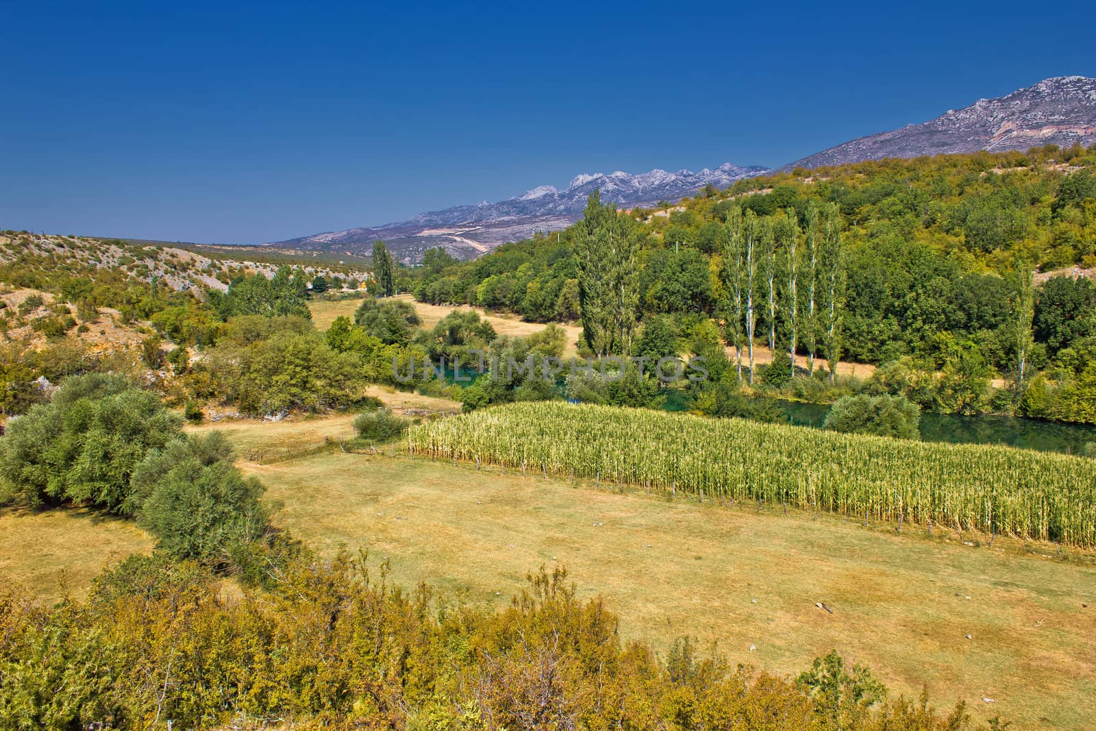 Green landscape of Zrmanja river valley by xbrchx
