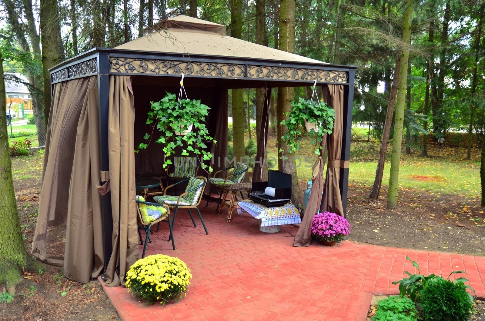 Tent gazebo with some chairs and tables plus grill.