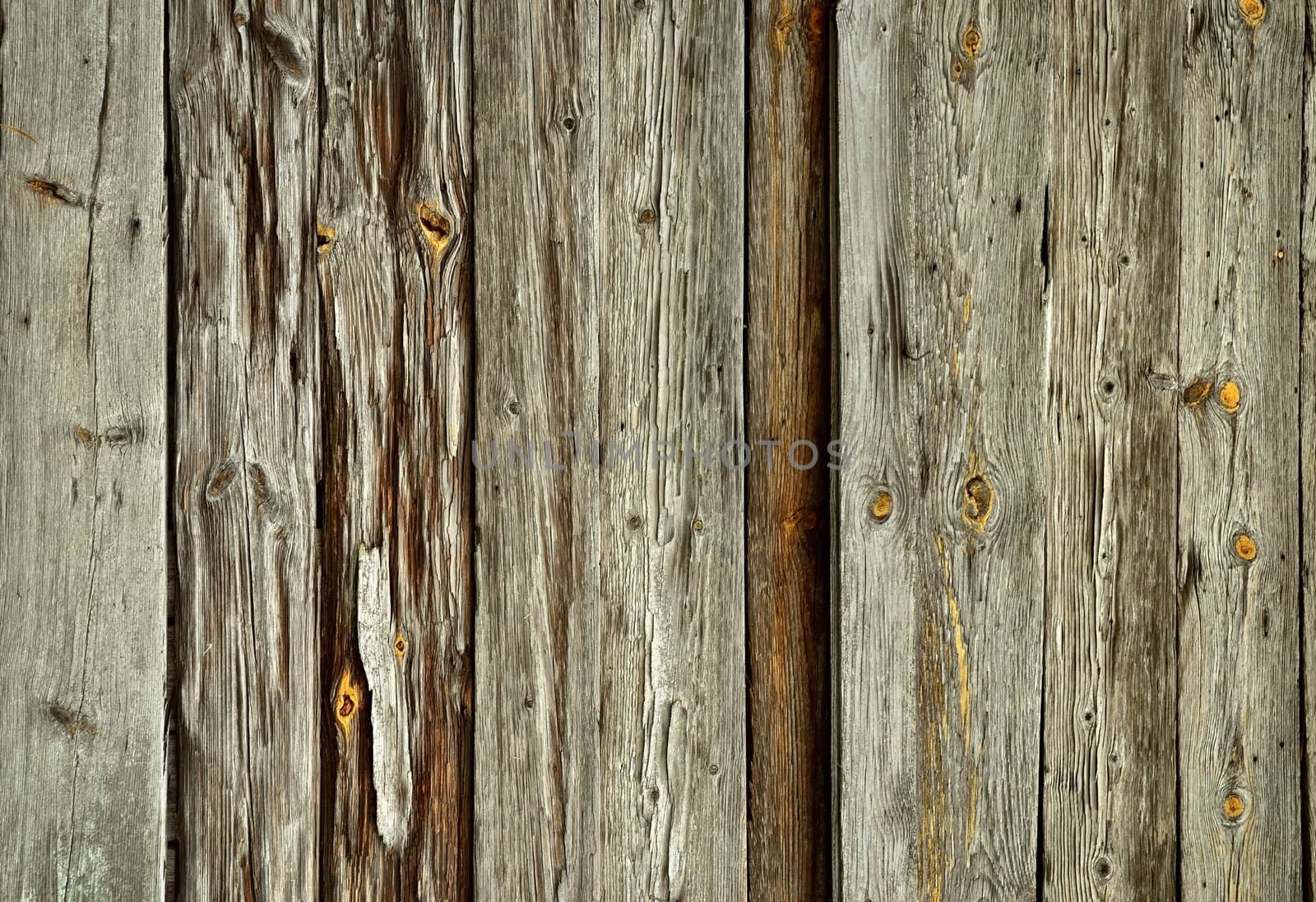 Vintage wood texture