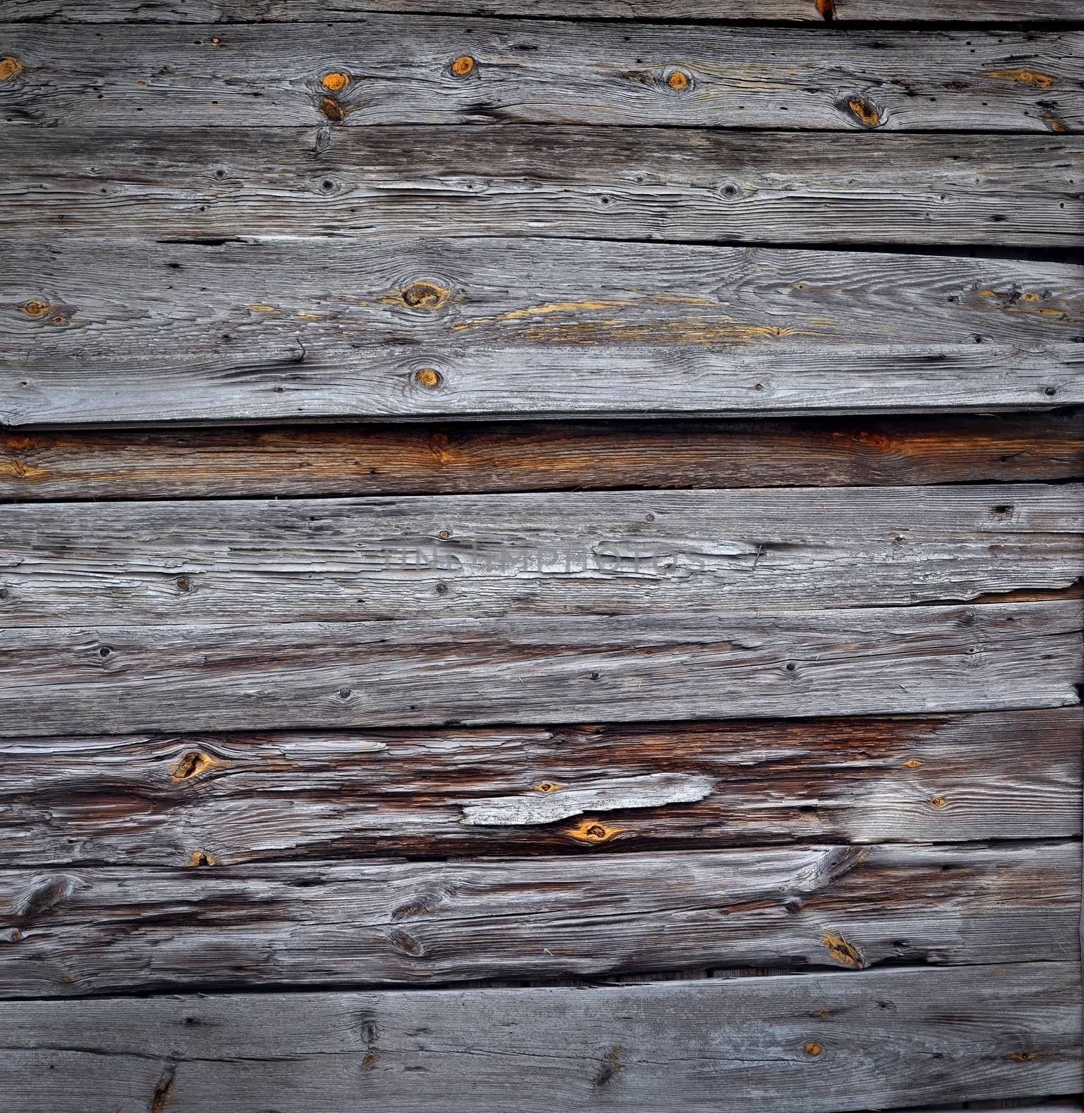 Old wood surface by Vectorex