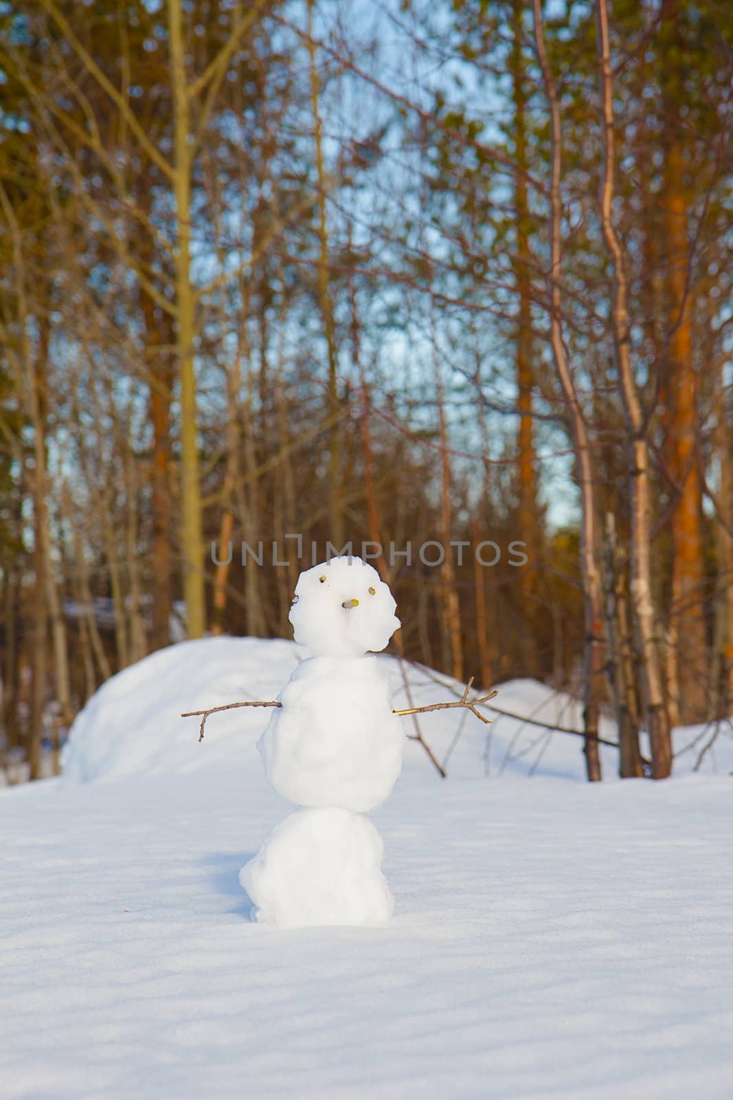 snowman and shadow on the snow. close-up