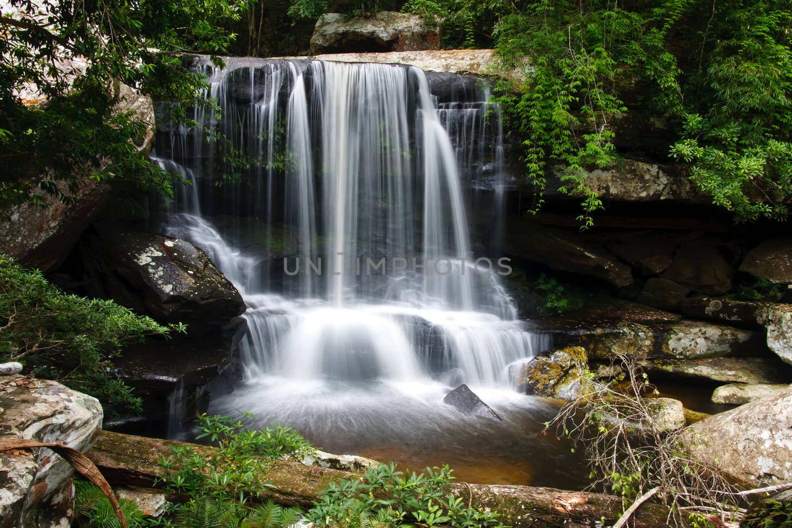 Beautiful rain forest and waterfall  by jame_j@homail.com