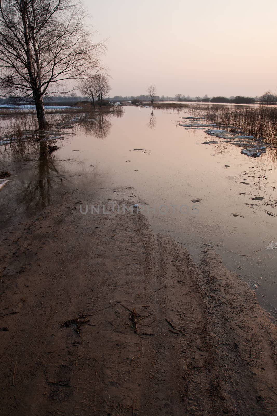 Flooded Road in spring evening